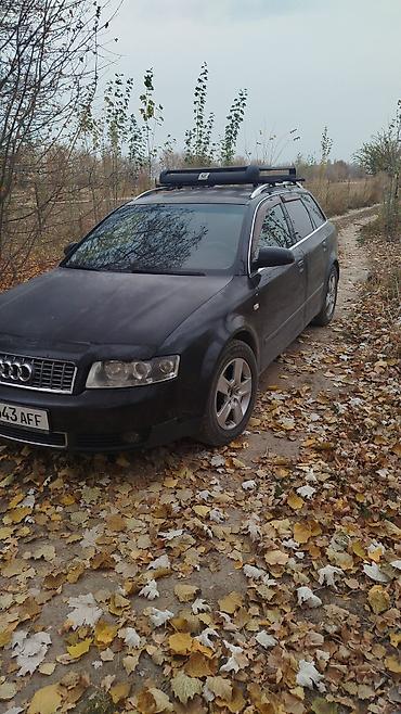 рен жровер: Audi A4: 2003 г., 2 л, Автомат, Бензин, Универсал — 7