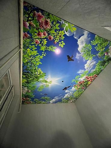 Натяжной потолок: Натяжной потолок 3D потолки, Глянцевое, Матовое Демонтаж, Бесплатная консультация, Бесплатный замер — 6
