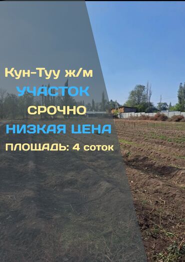 орок дом: 4 соток, Кызыл китеп