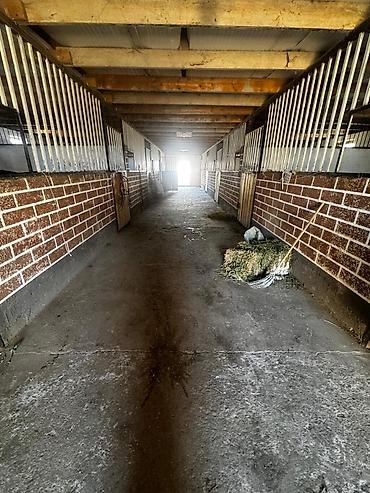 Продажа дач: 🔥 Срочно продаётся конюшня в Тош-Булаке! Отличный вариант для — 6