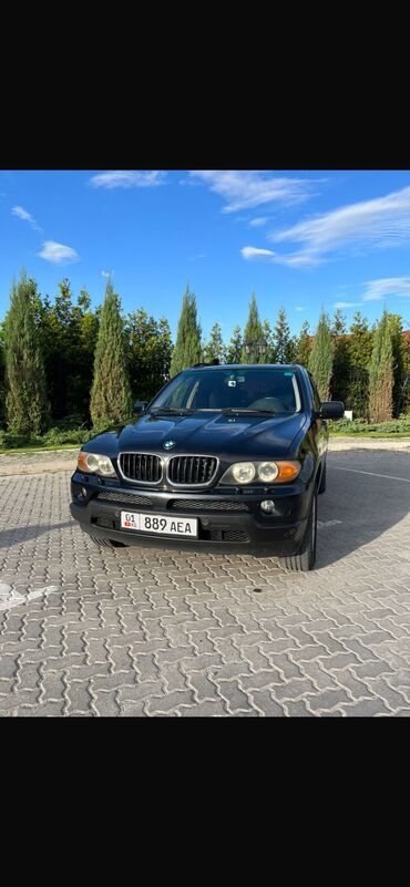 BMW: BMW X5: 2004 г., 3 л, Автомат, Дизель, Внедорожник