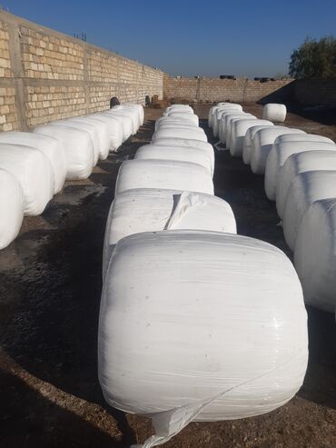 Heyvanlar üçün mallar: Ağdam Əfətli formasında silos satılır 1 ton 150 azn Eliyar bəy