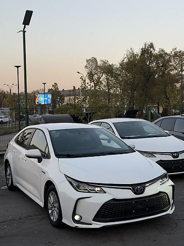 1: Toyota Corolla: 2023 г., 1.8 л, Вариатор, Гибрид, Седан — 2