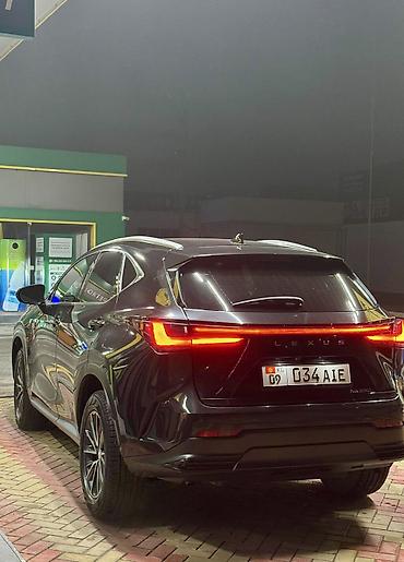 Lexus: Lexus NX: 2023 г., 2.5 л, Автомат, Бензин, Кроссовер — 3