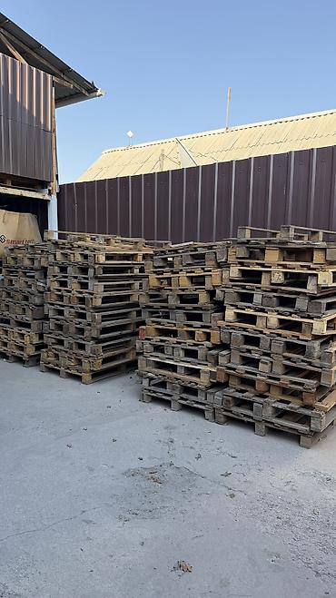 секс кукла цена: Продажа палет С небольшим повреждением палеты по 150 сом Целые 200 — 1
