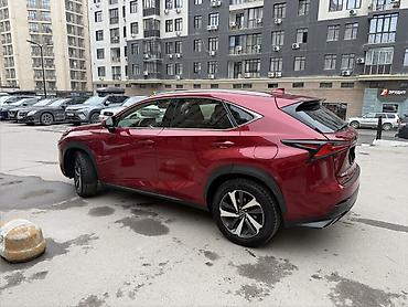 belarus 892 2: Lexus NX: 2018 г., 2 л, Автомат, Бензин, Кроссовер — 4