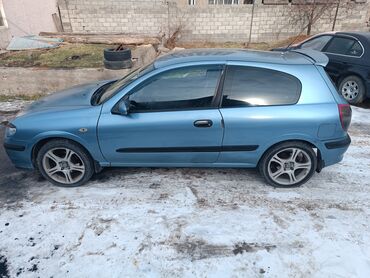 nissan atlas: Nissan Almera: 2000 г., 2.2 л, Механика, Дизель, Купе