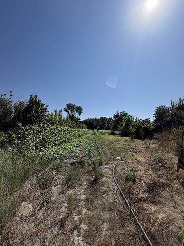Продажа коттеджей и домов: 4 комнаты, 58 м², 29 соток, Петровка, Риэлтор — 16