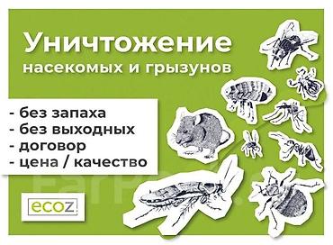 талоны: Дезинфекция, дезинсекция, | Муравьи, Блохи, Вирусы, микробы, | Кафе, магазины, Квартиры, Подъезды — 7