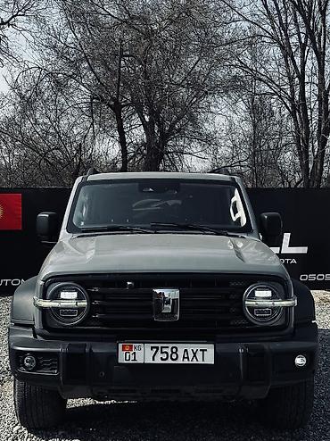 Tank: Tank 300: 2022 г., 2 л, Бензин — 1