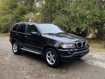 посадка машины: BMW X5: 2003 г., 3 л, Механика, Газ, Кроссовер