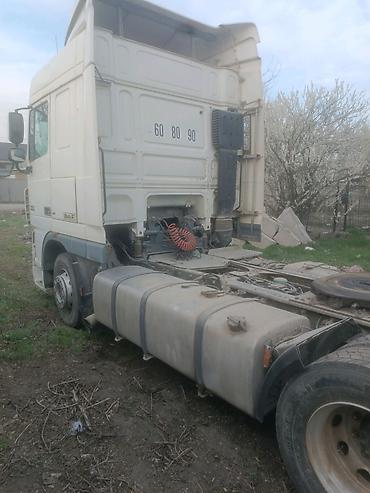 Тягачи: Тягач, DAF, 2008 г., Без прицепа — 11