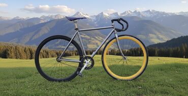 шины для велосипедов: Фикс-байк (single speed) - Седло: спортивное, с перфорацией;