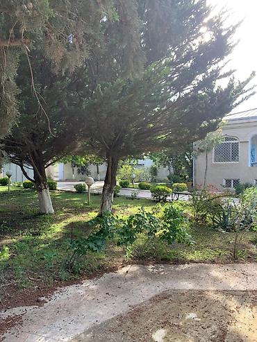 Дома: 5 комнат, 350 м², Свежий ремонт — 6