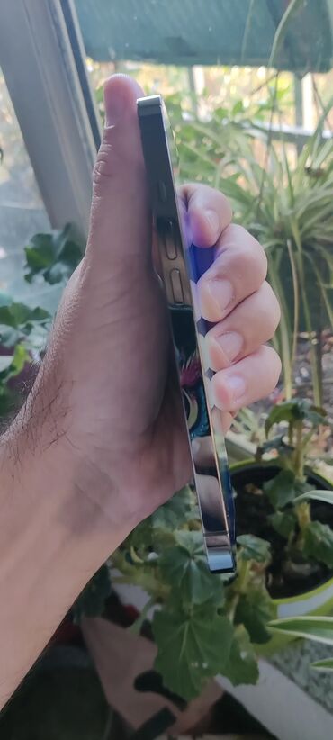 Apple iPhone: Apple iPhone iPhone 13 Pro, Alpine Green, Face ID — 10