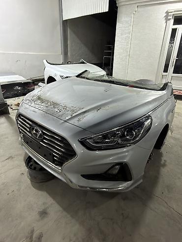 highlander platinum: Hyundai Sonata VII (рестайлинг, около 2018–2019) — передняя половина — 1