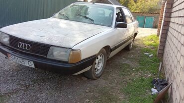 Audi: Audi 100: 1988 г., 1.8 л, Механика, Бензин, Седан