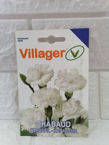 Semena i sadnice: Cena 500din/kesica — 17