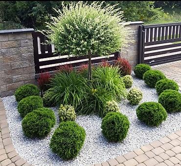 Дизайн, проектирование: Дизайн | Дома — 3