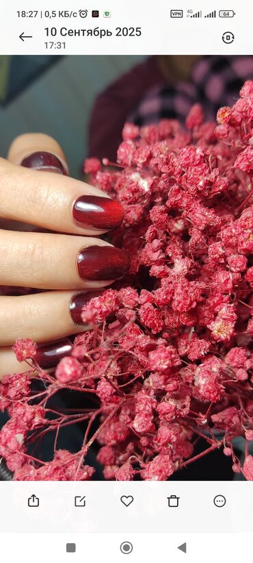 Manikür, pedikür: Manikür, Tipsi, Gellak, şellak, Korreksiya, Salonda — 2