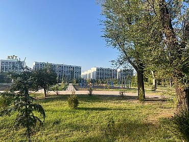 premium development: 1 комната, Собственник, Без животных, от 6 месяцев, С мебелью частично — 2