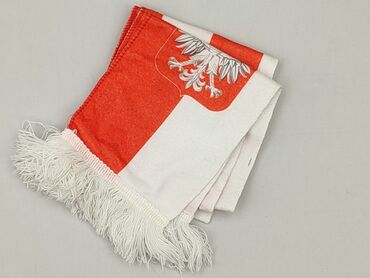 Scarf, Male, condition - Very good