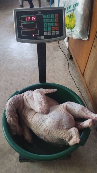 Мясо: 3 кг — 14