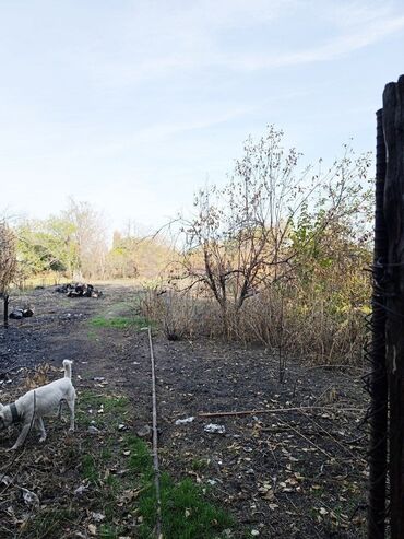 Продажа домов: Дом, 80 м², 6 комнат, Собственник, Косметический ремонт at lalafo.kg — 11 Продажа домов: Дом, 80 м², 6 комнат, Собственник, Косметический ремонт — 11