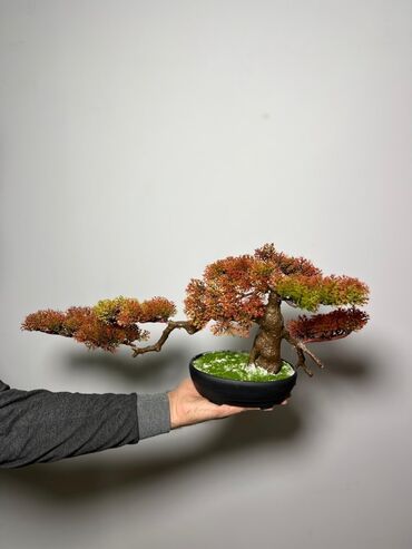 Süni güllər: Süni bonsai ağacı – dekorativ içməkan yaşıllaşdırma üçün - Realistik — 15