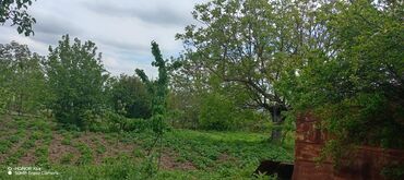 Həyət evləri və villaların satışı: 15 otaq, 300 kv. m, Kredit yoxdur, Orta təmir -da lalafo.az — 6 Həyət evləri və villaların satışı: 15 otaq, 300 kv. m, Kredit yoxdur, Orta təmir — 6