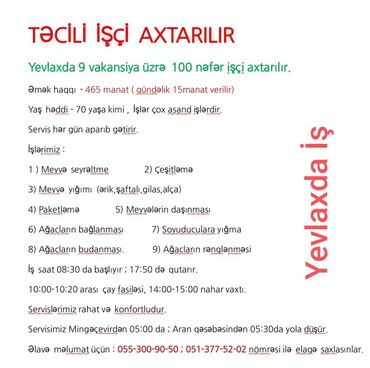 günlük işlər bakı: Bağban tələb olunur, Təcrübəsiz, 1/1, Tam iş günü