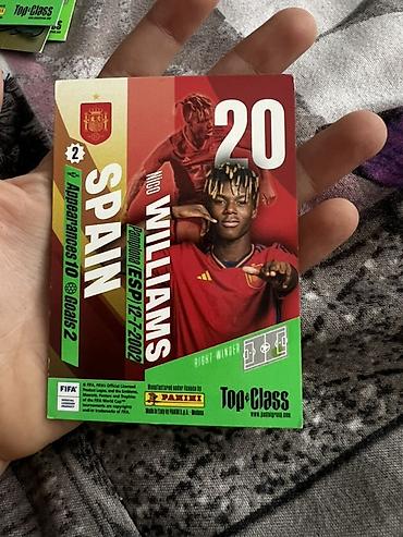 İncəsənət və kolleksiyalar: Panini “Top Class” futbol kolleksiya kartları dəsti Məzmun: - Panini — 4