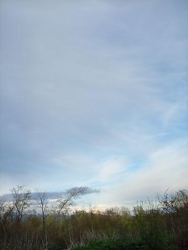 Torpaq sahələrinin satışı: 38 sot, Tikinti, Mülkiyyətçi, Kupça (Çıxarış) — 17