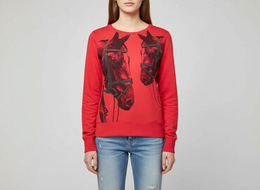 bluzy over size: H&M, Women`s sweatshirt, size S