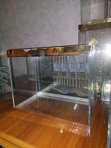 Akvariumlar: Çatdırılma tam pulsuzdu ölçü və dizaynında dəyişiklik etməy olar arxa — 9