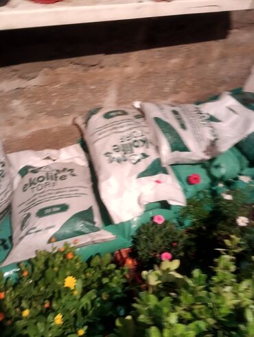 Şitillər: Qazon landşaft #qazon #torf #torf250litrlik Ekolayf #ekolayf balaken — 29