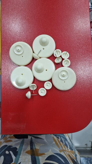 Avtoservis avadanlıqları: Ağ rəngli plastik paltar təhlükəsizlik etiketləri (anti-oğurluq