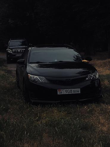 радиаторы камри: Toyota Camry: 2013 г., 2.5 л, Автомат, Бензин, Седан — 2