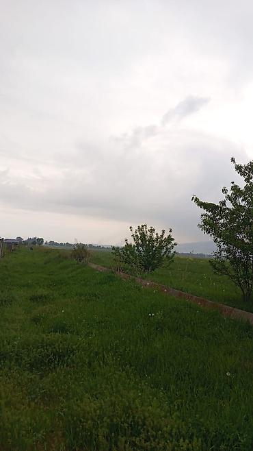 село арчалы: 106 соток, Для сельского хозяйства, Договор купли-продажи — 1