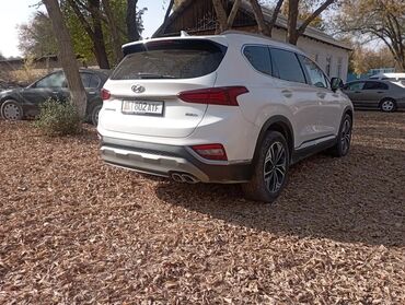 Hyundai: Hyundai Santa Fe: 2019 г., 2.2 л, Автомат, Дизель, Кроссовер — 10