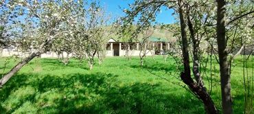 кочкор ата участок: 48 соток, Курулуш, Кызыл китеп