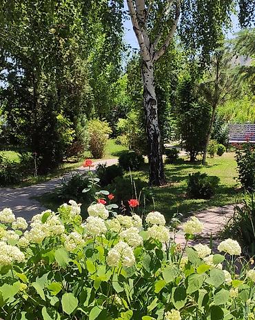 5: Добро пожаловать в "Дом на Панораме" — Красный дом для вашего — 2