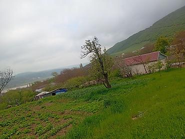 Torpaq sahələrinin satışı: Kənd təsərrüfatı — 5