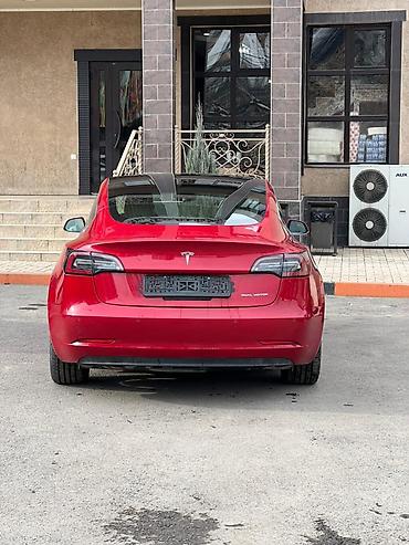 tesla p40: Tesla Model 3: 2019 г., Автомат, Электромобиль, Roadster — 2