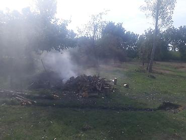 Torpaq sahələrinin satışı: 40 sot, Tikinti, Mülkiyyətçi, Kupça (Çıxarış) — 15