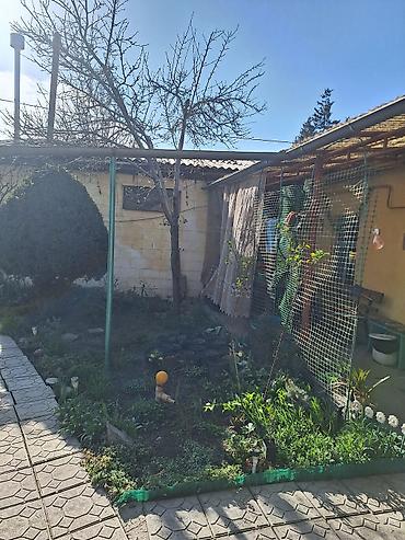 Продажа коттеджей и домов: 3 комнаты, 80 м², 4 соток, Орто-Сай, Собственник — 17