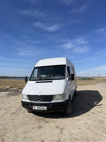 Mercedes-Benz Спринтер: 1996 г., 2.9 л, Механика, Дизель, Фургон