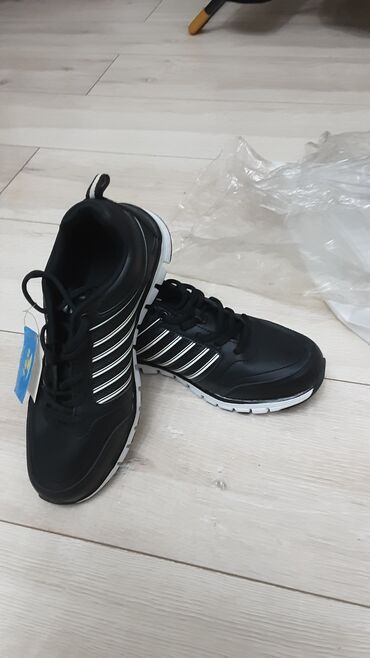 волейбольные кроссовки в бишкеке: Обувь продаю кроссовки новые размер:37 мужские цена:300 сом номер тел
