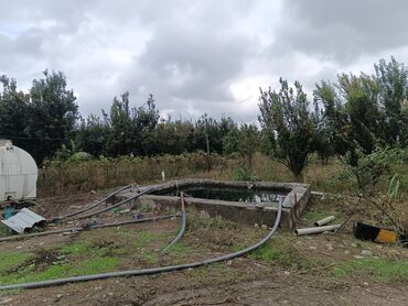 Torpaq sahələrinin satışı: 30 sot, Kənd təsərrüfatı, Mülkiyyətçi, Kupça (Çıxarış) -da lalafo.az — 14 Torpaq sahələrinin satışı: 30 sot, Kənd təsərrüfatı, Mülkiyyətçi, Kupça (Çıxarış) — 14