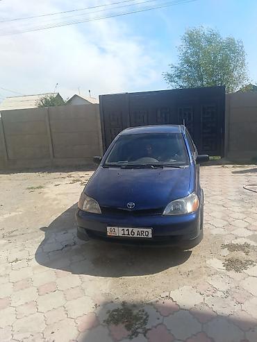 4.2 дизель тойота: Toyota Echo: 2001 г., 1.6 л, Автомат, Бензин, Седан — 3